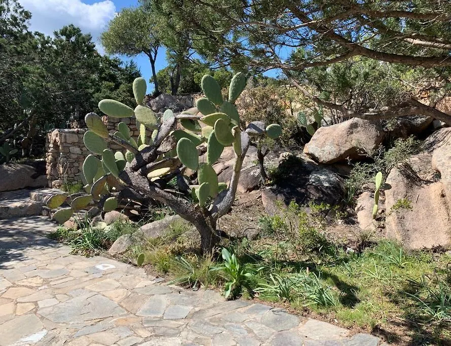 Semesterbostad Kiru Lovely Home - Villa Su Cuile, Cala Ginepro Monte Petrosu Italien